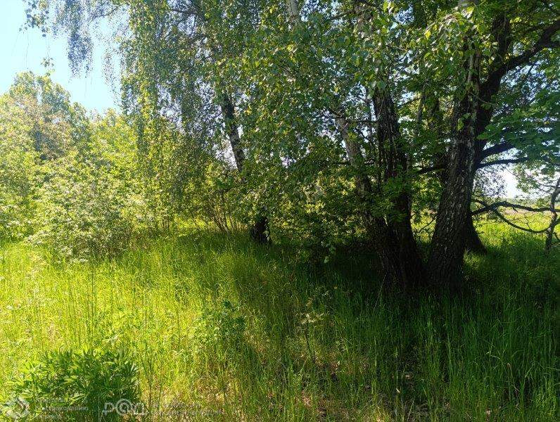 Продам земельный участок 128000 м.кв.