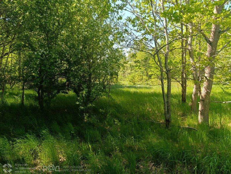 Продам земельный участок 25009 м.кв.