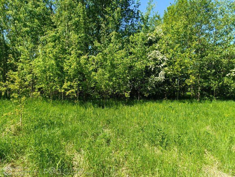 Продам земельный участок 25009 м.кв.