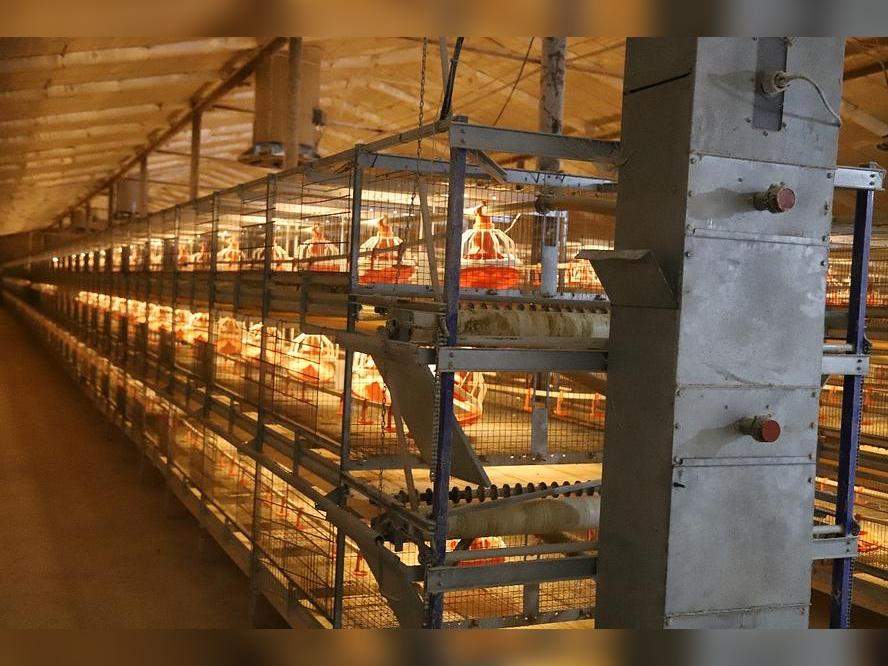 Помещение свободного назначения на продажу в Михайловке, Гагарина улица, 1 фото №0