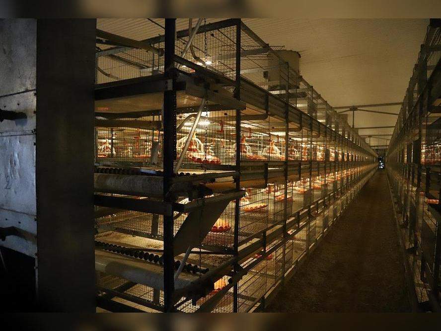 Помещение свободного назначения на продажу в Михайловке, Гагарина улица, 1 фото №1