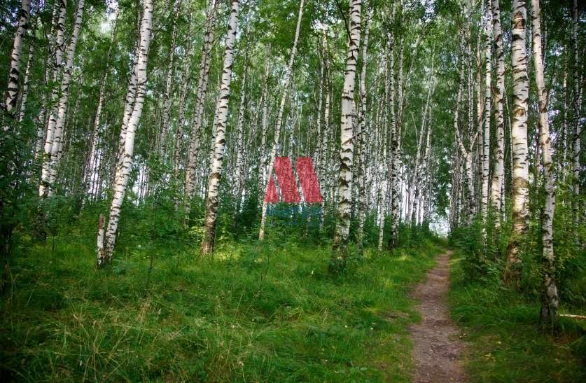 Коттедж на продажу в Судоверфье, Верхневолжская улица, 17 фото №10