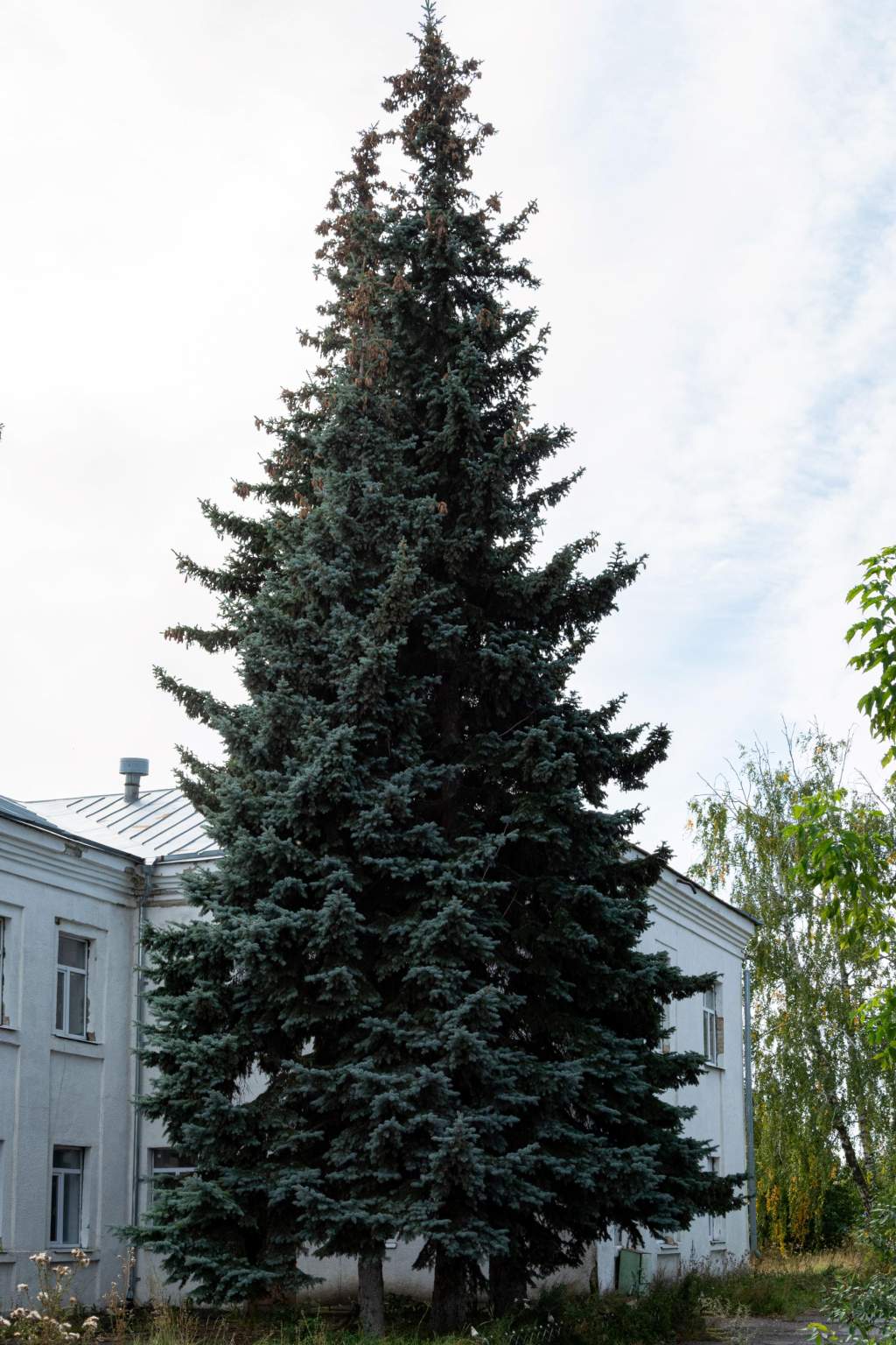 Продам торговое помещение 8304 м.кв.