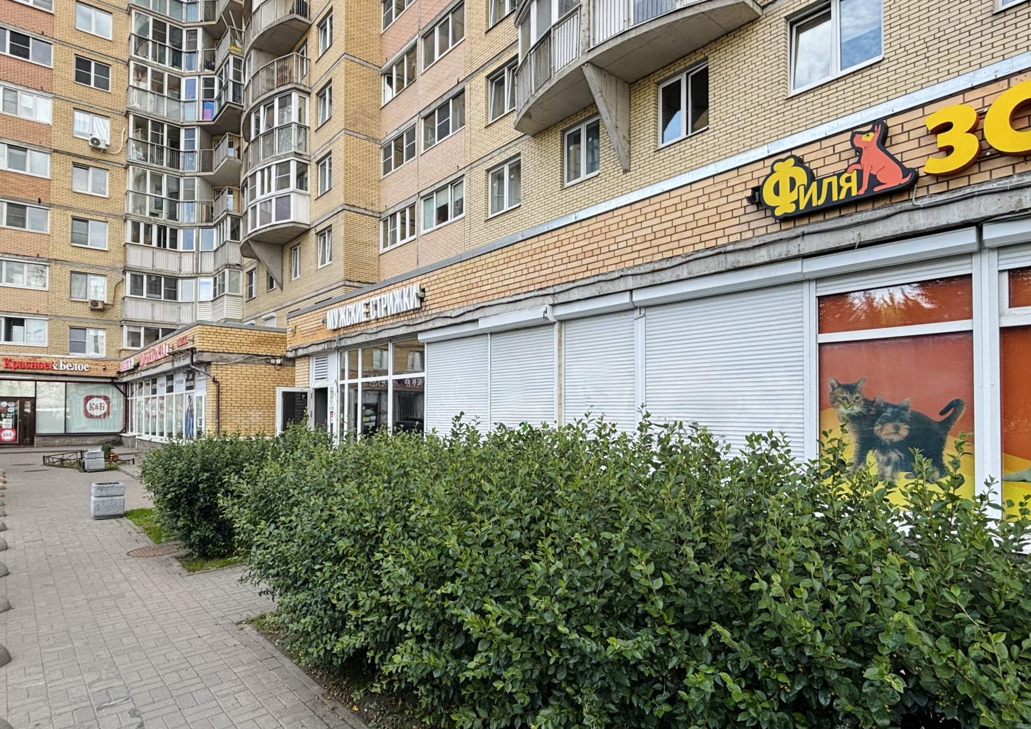 Сдам в аренду помещение свободного назначения 90 м.кв.