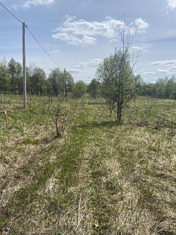 Продам земельный участок 52310 м.кв.
