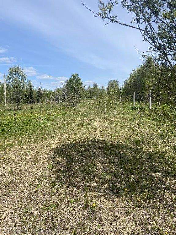 Продам земельный участок 52310 м.кв.