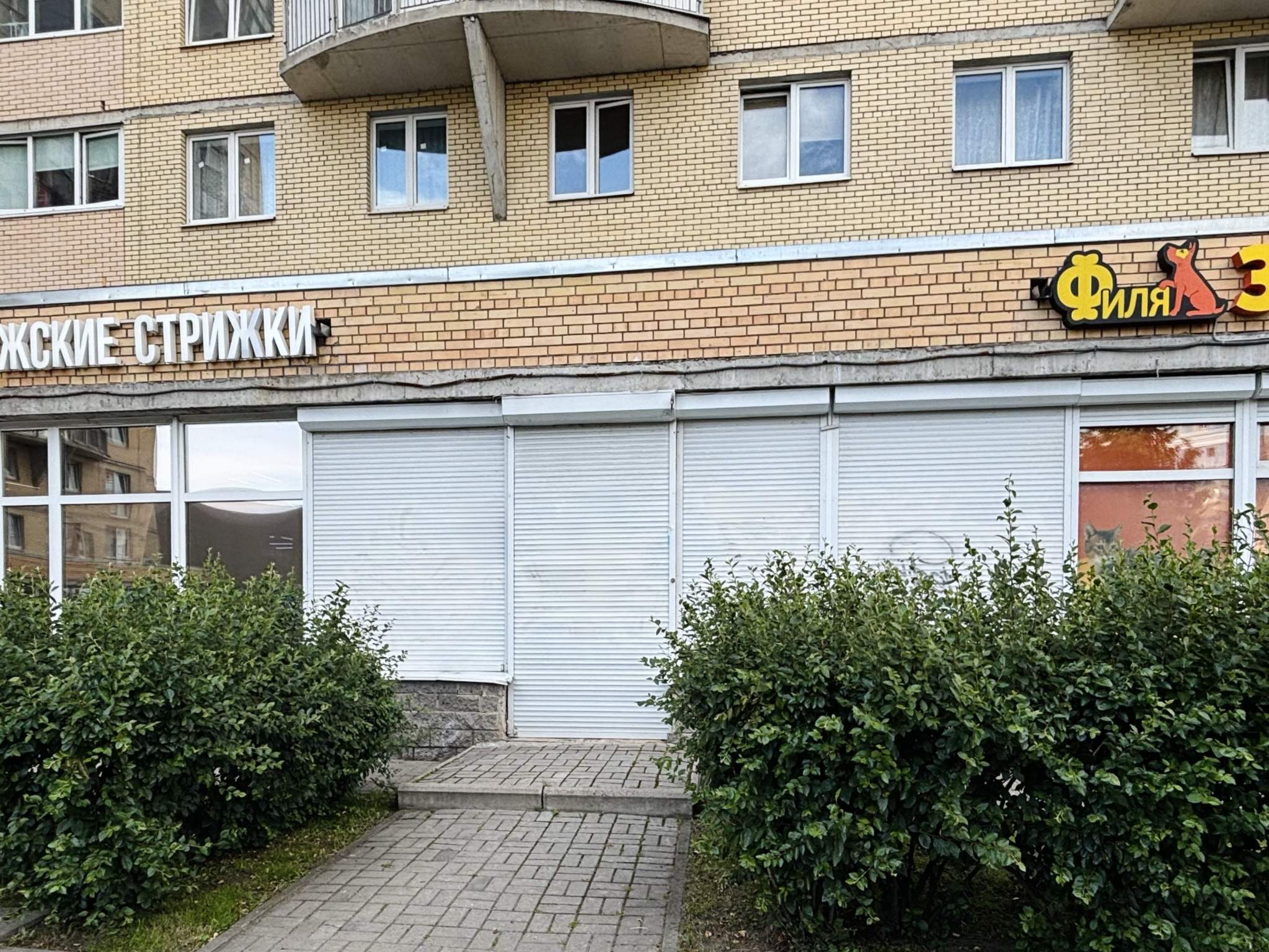 Сдам в аренду помещение свободного назначения 77 м.кв.