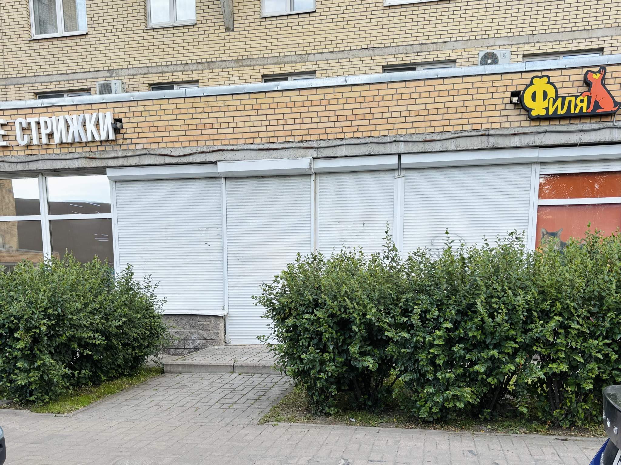 Сдам в аренду помещение свободного назначения 90 м.кв.
