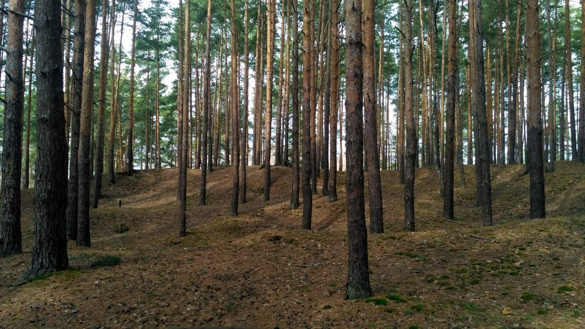 Продам земельный участок 1741 м.кв.