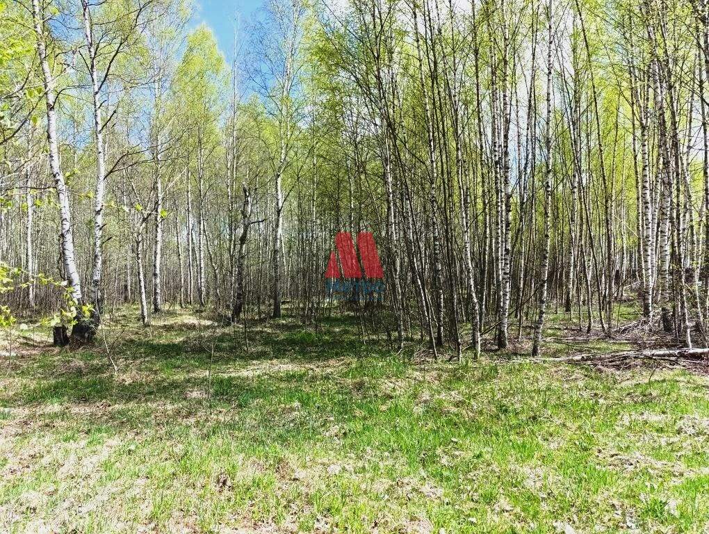 Продам земельный участок 1700 м.кв.