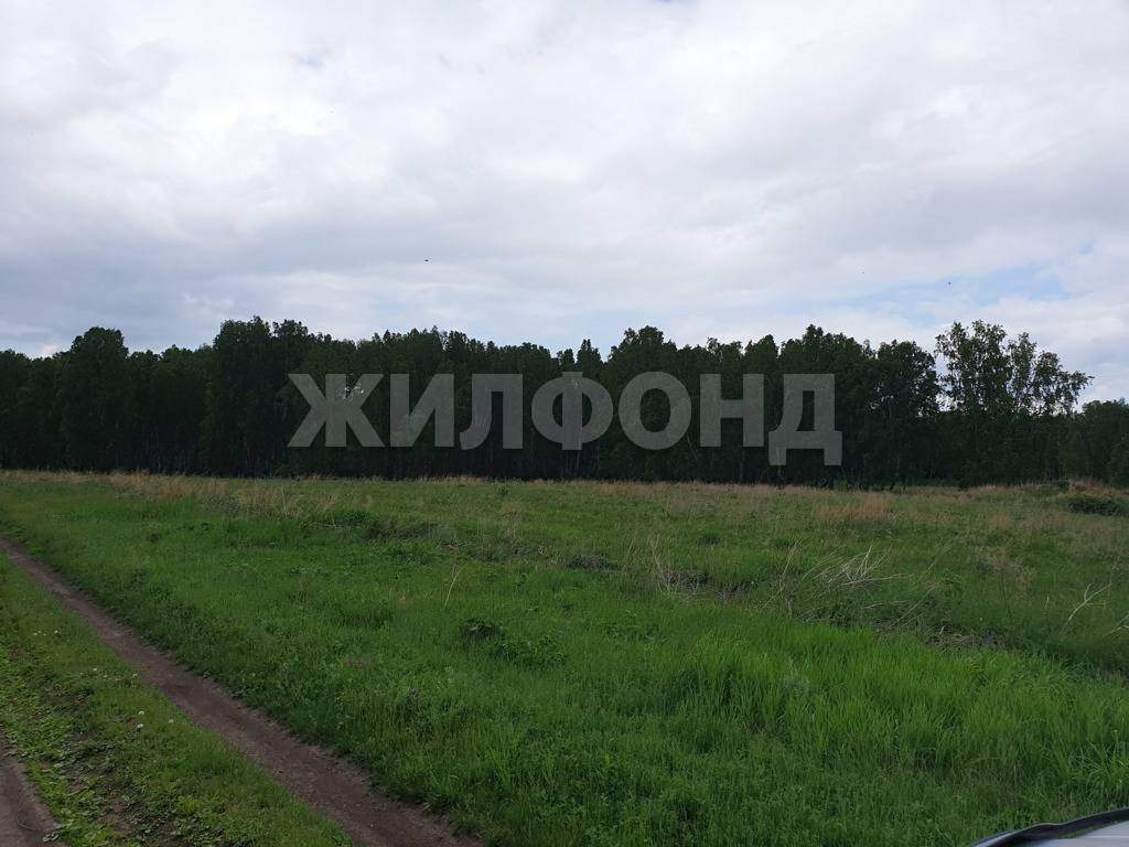 Продам земельный участок 140000 м.кв.