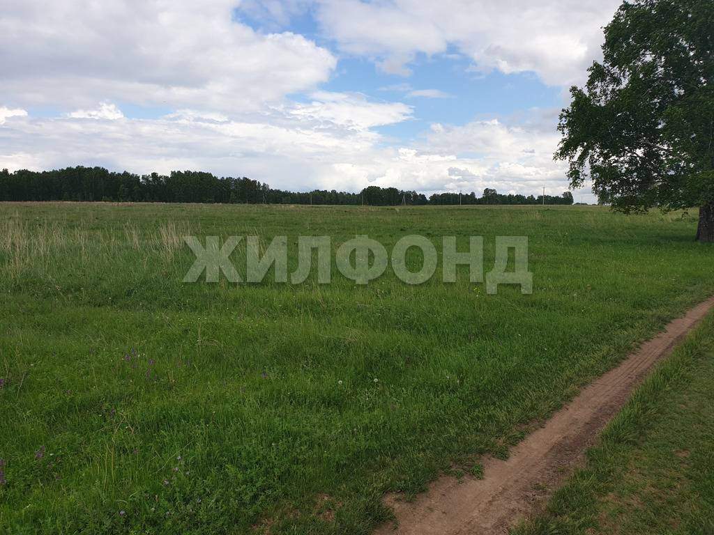 Продам земельный участок 140000 м.кв.