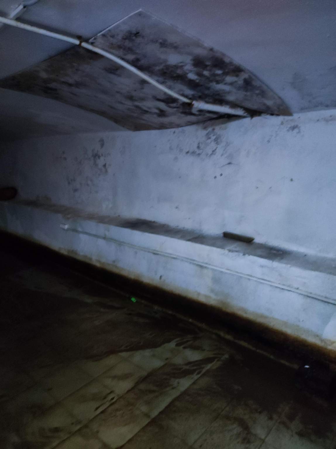 Сдам в аренду офис 54.7 м.кв.