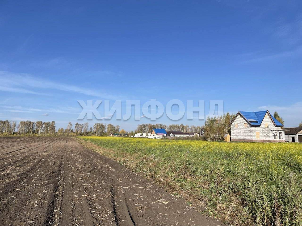 Участок на продажу в Омском, Центральная улица фото №3