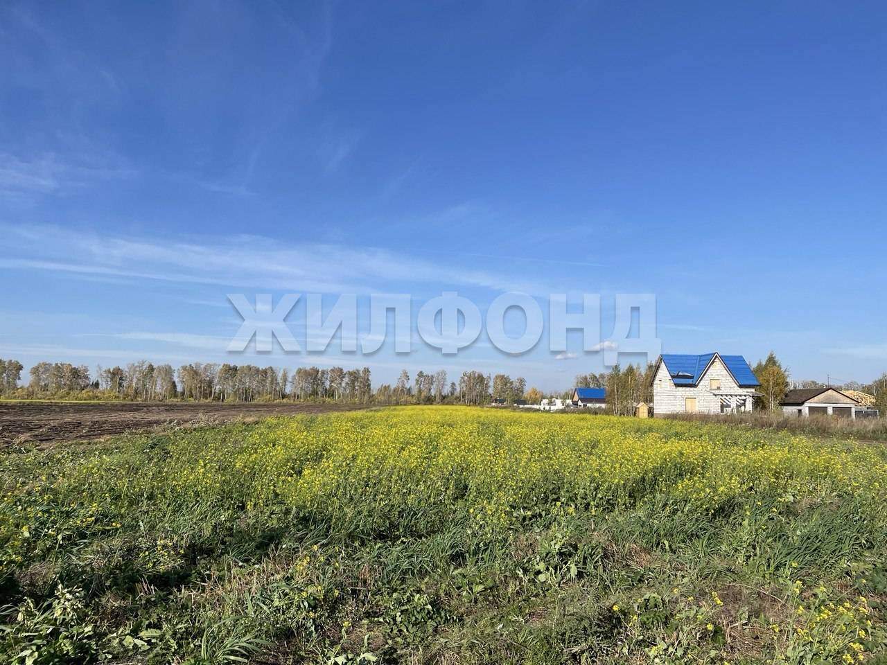Участок на продажу в Омском, Центральная улица фото №6