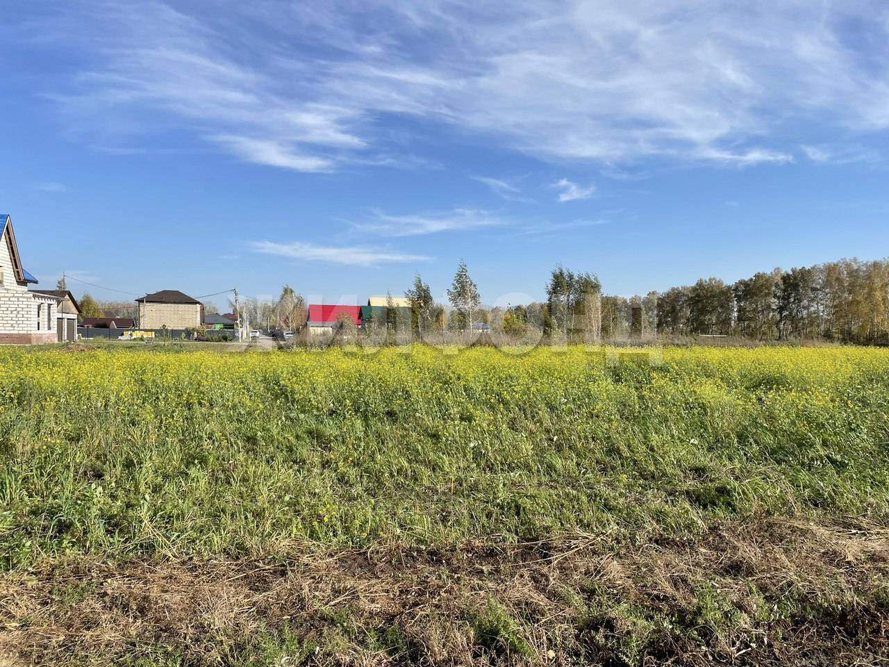 Участок на продажу в Омском, Центральная улица фото №5