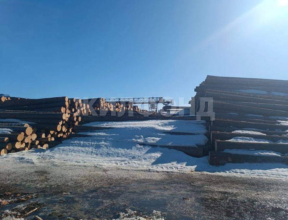 Продам земельный участок 13000 м.кв.