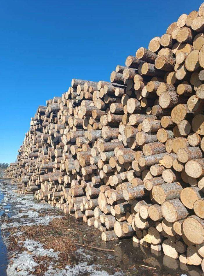 Продам земельный участок 13000 м.кв.