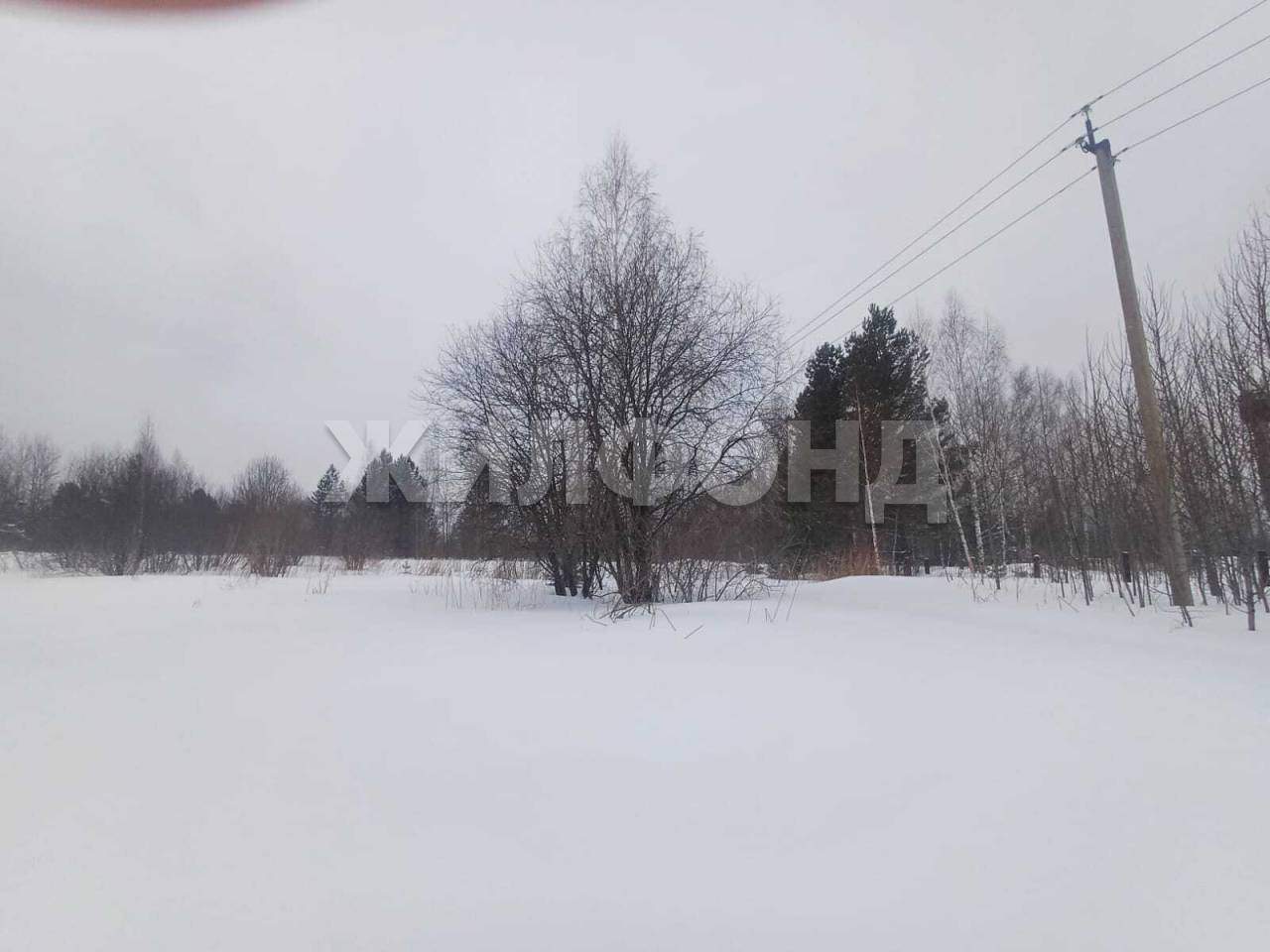 Продам земельный участок 119138 м.кв.