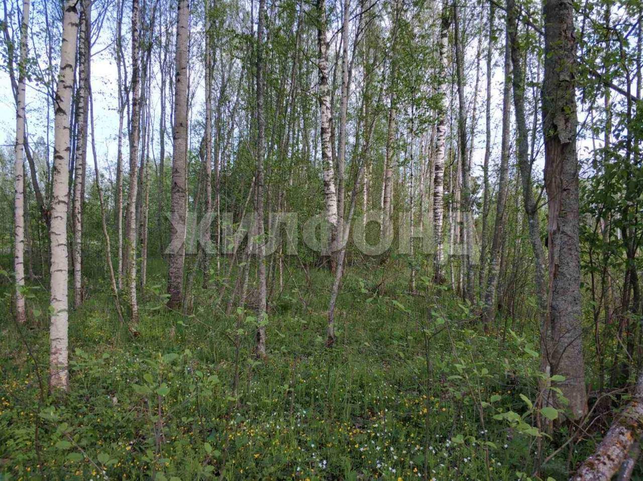 Продам земельный участок 2000 м.кв.