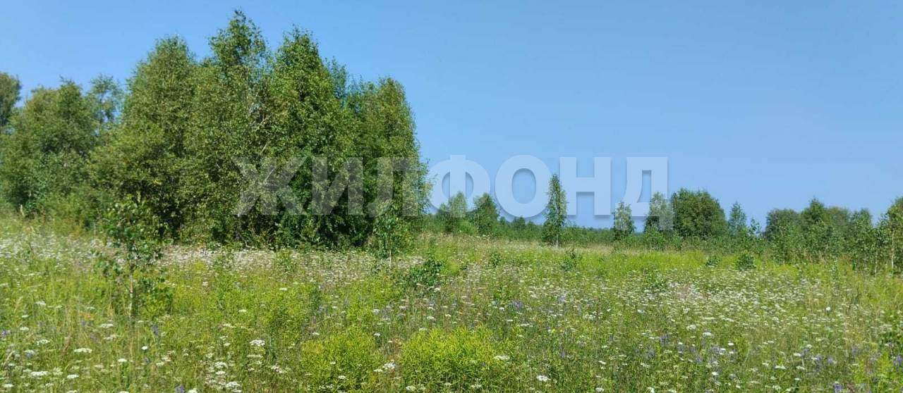 Продам земельный участок 165500 м.кв.