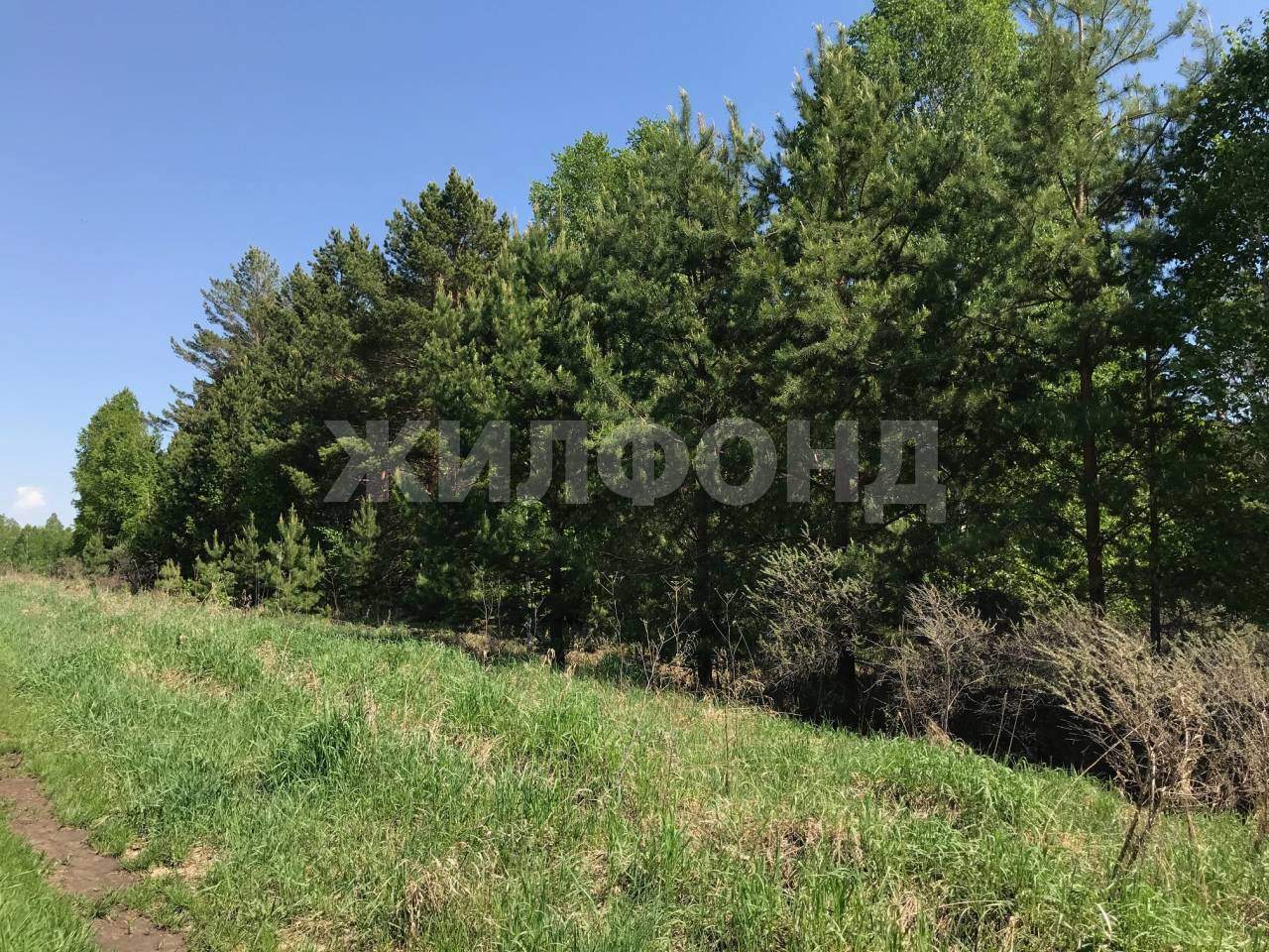 Продам земельный участок 68800 м.кв.