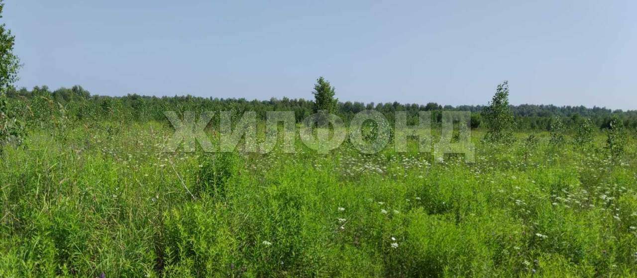Продам земельный участок 165500 м.кв.
