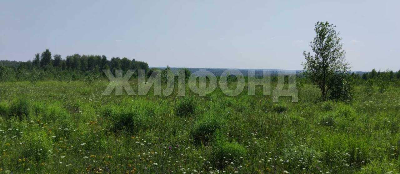 Продам земельный участок 165500 м.кв.