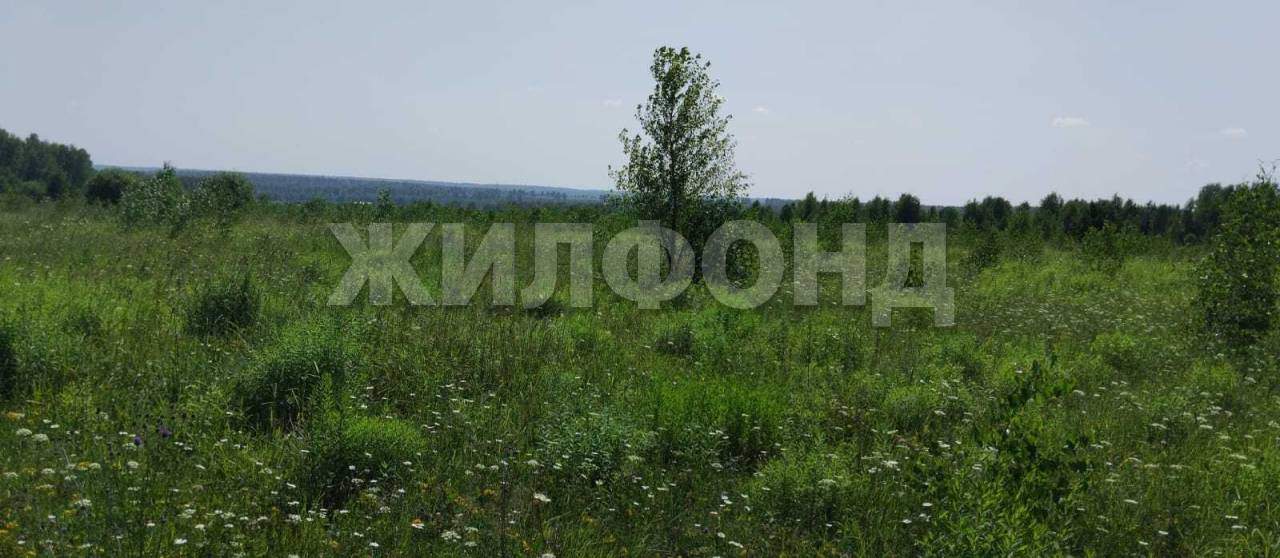 Продам земельный участок 165500 м.кв.