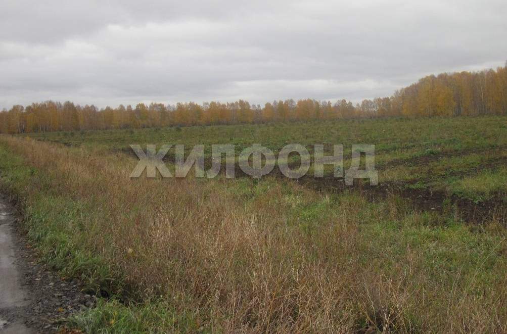 Продам земельный участок 79100 м.кв.