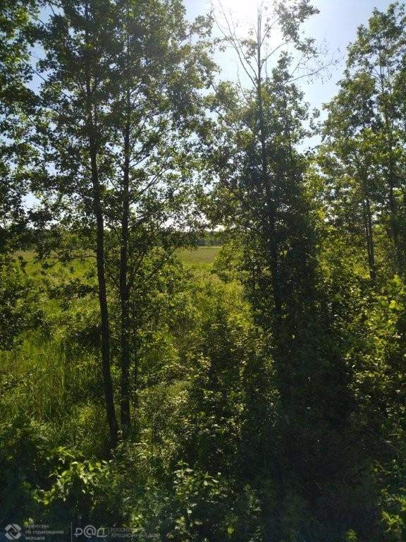 Продам земельный участок 242515 м.кв.