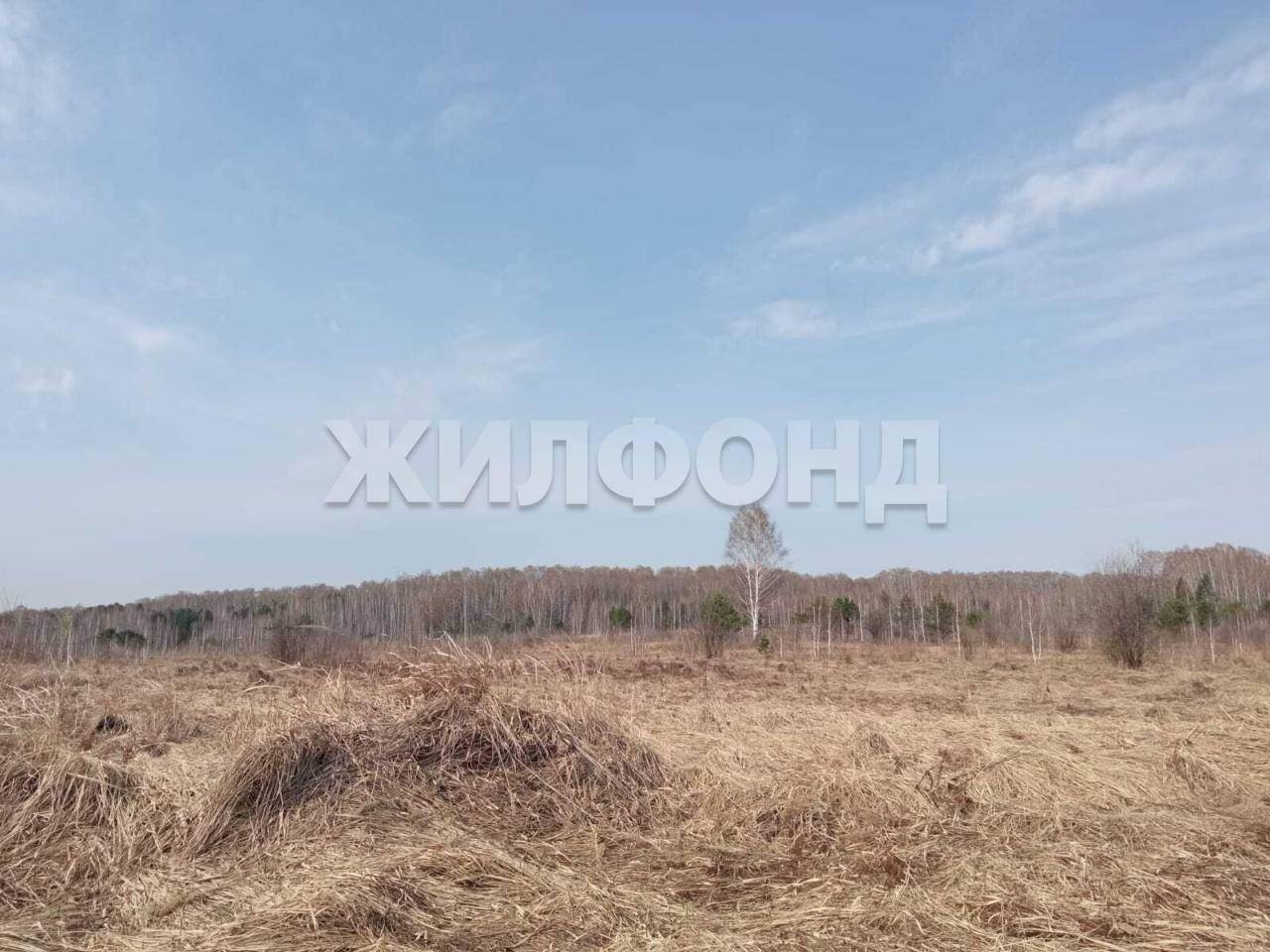 Продам земельный участок 20000 м.кв.