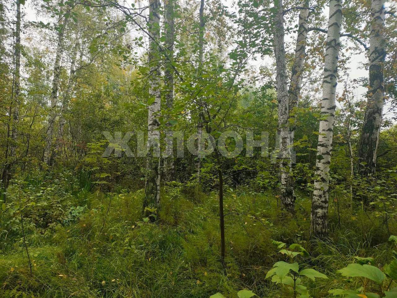 Продам земельный участок 1200 м.кв.