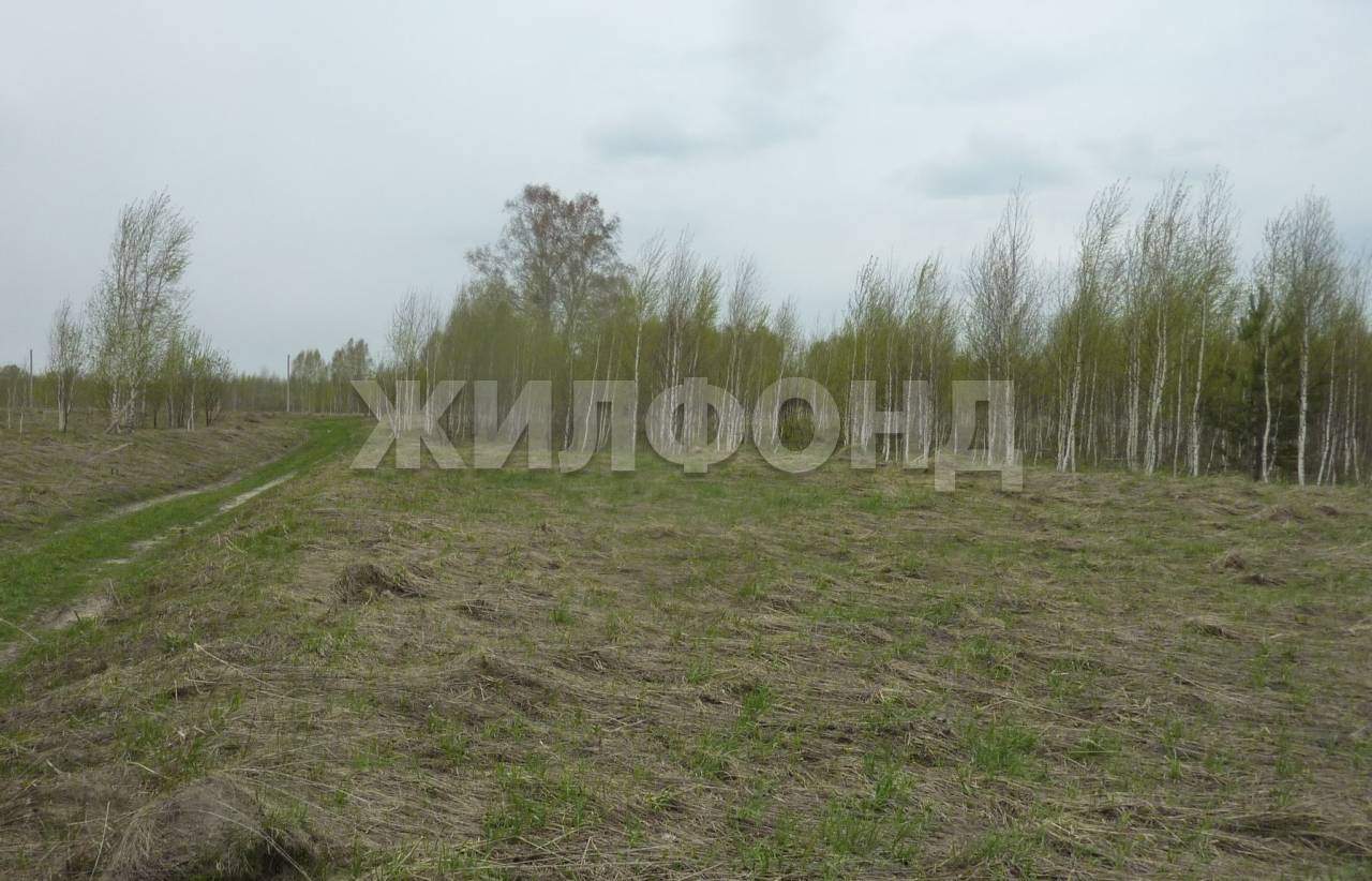 Продам земельный участок 1000 м.кв.
