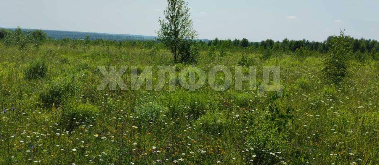 Продам земельный участок 165500 м.кв.
