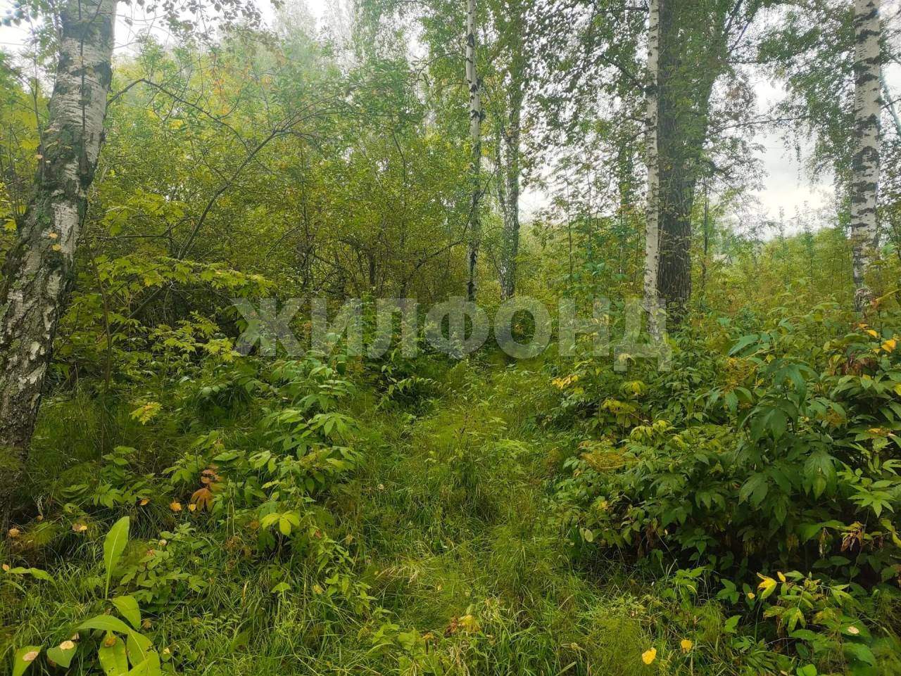 Продам земельный участок 1200 м.кв.