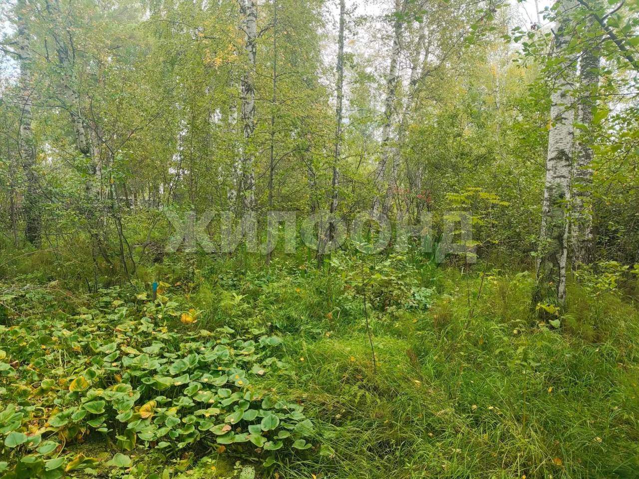 Продам земельный участок 1200 м.кв.