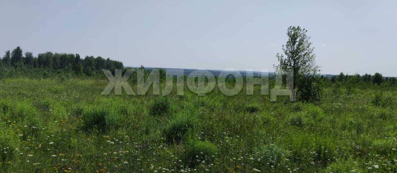 Продам земельный участок 165500 м.кв.
