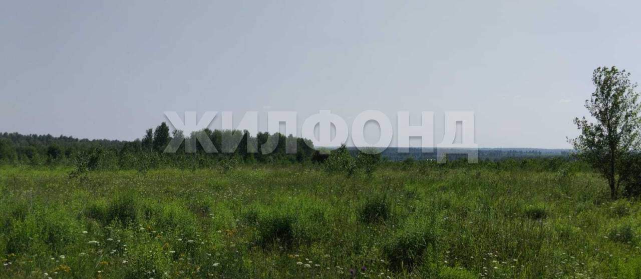 Продам земельный участок 165500 м.кв.