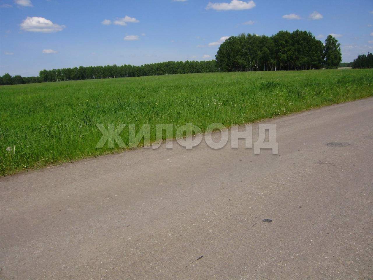 Продам земельный участок 515000 м.кв.