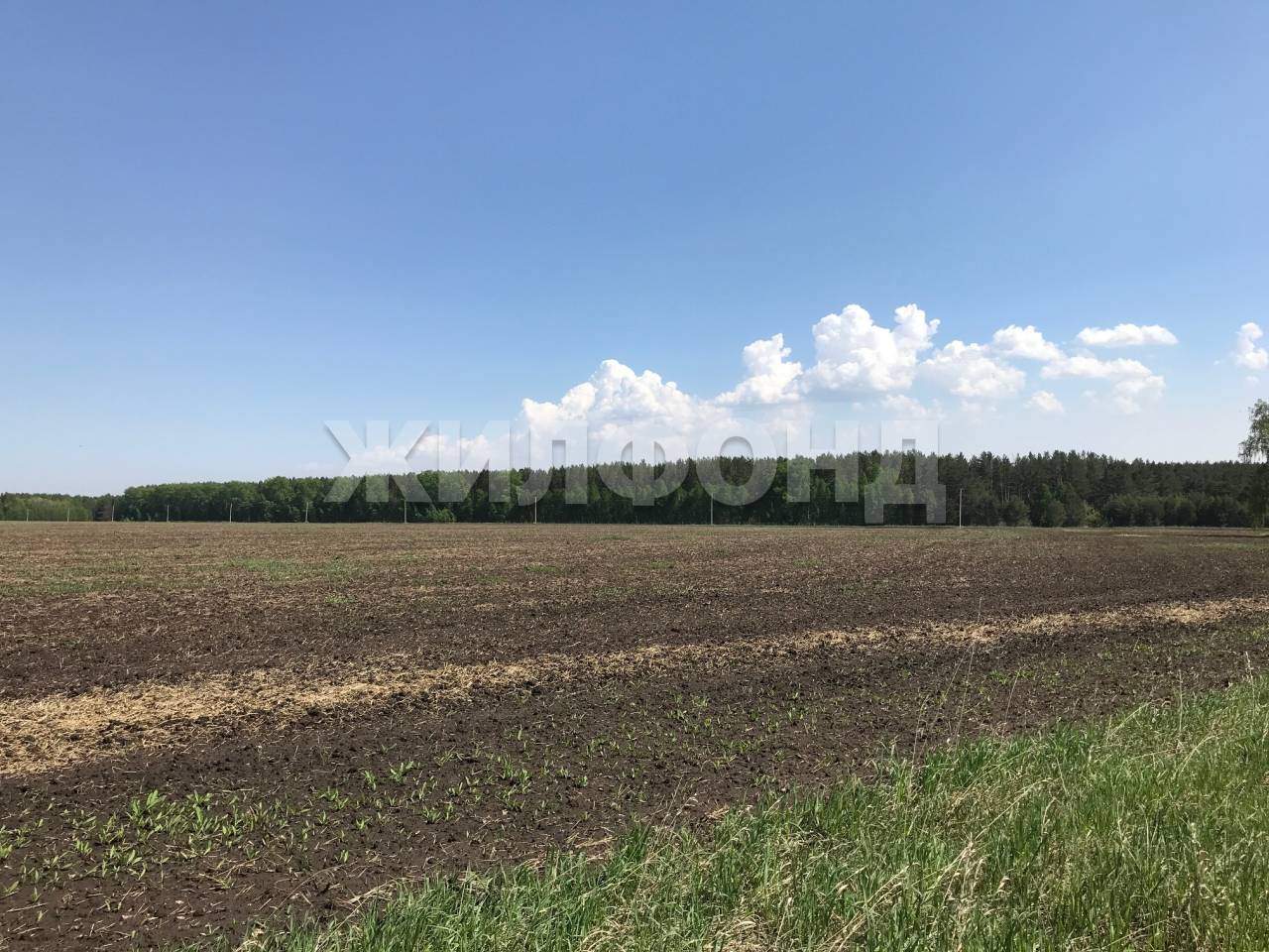 Продам земельный участок 197300 м.кв.