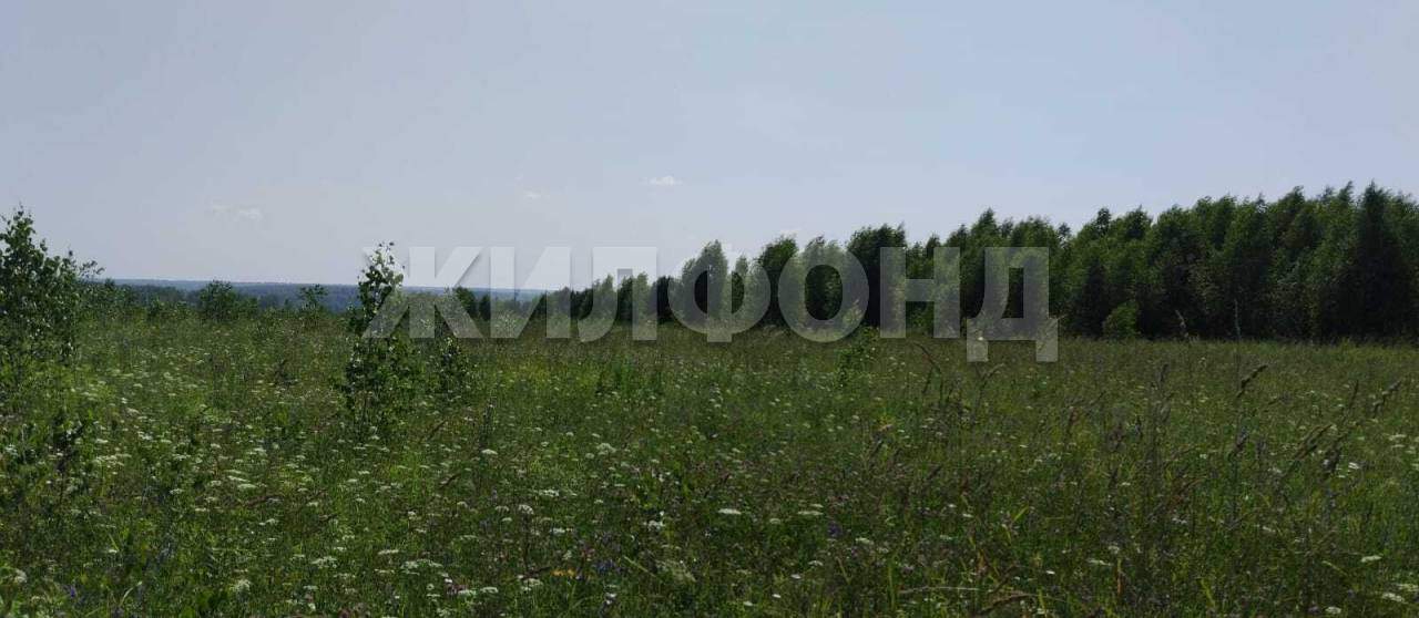 Продам земельный участок 165500 м.кв.