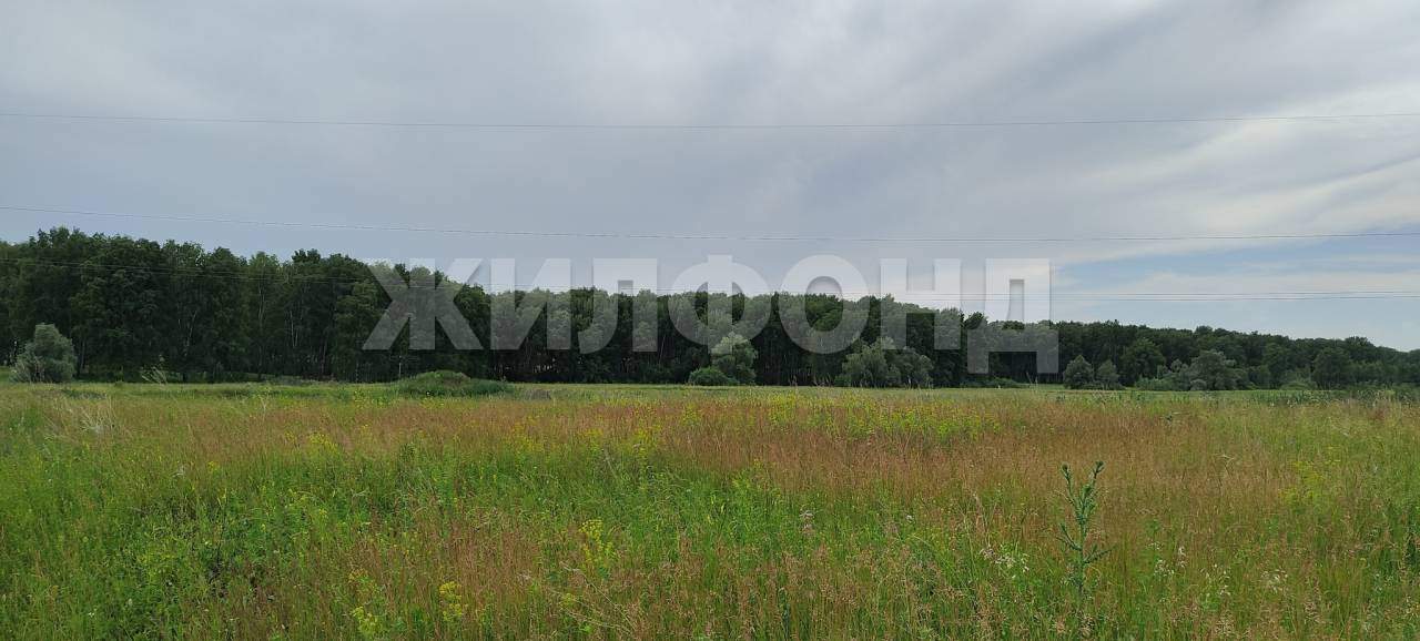 Продам земельный участок 3000 м.кв.