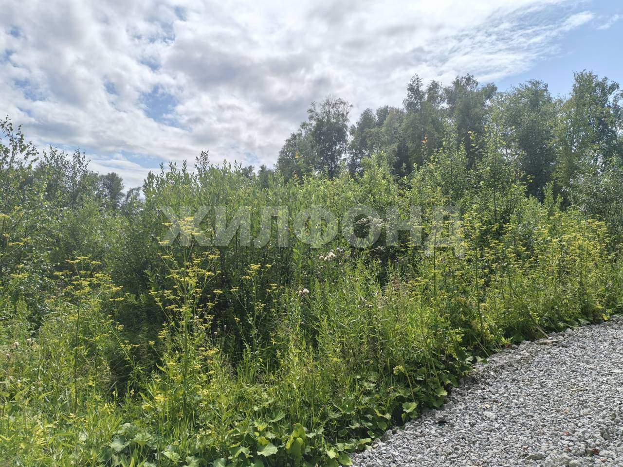 Продам земельный участок 1200 м.кв.