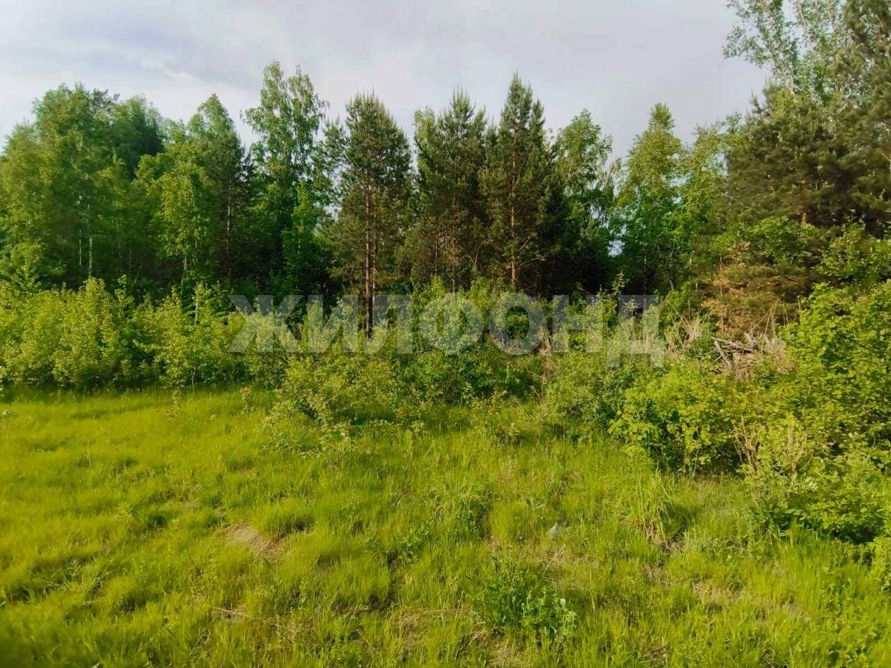 Продам земельный участок 1000 м.кв.