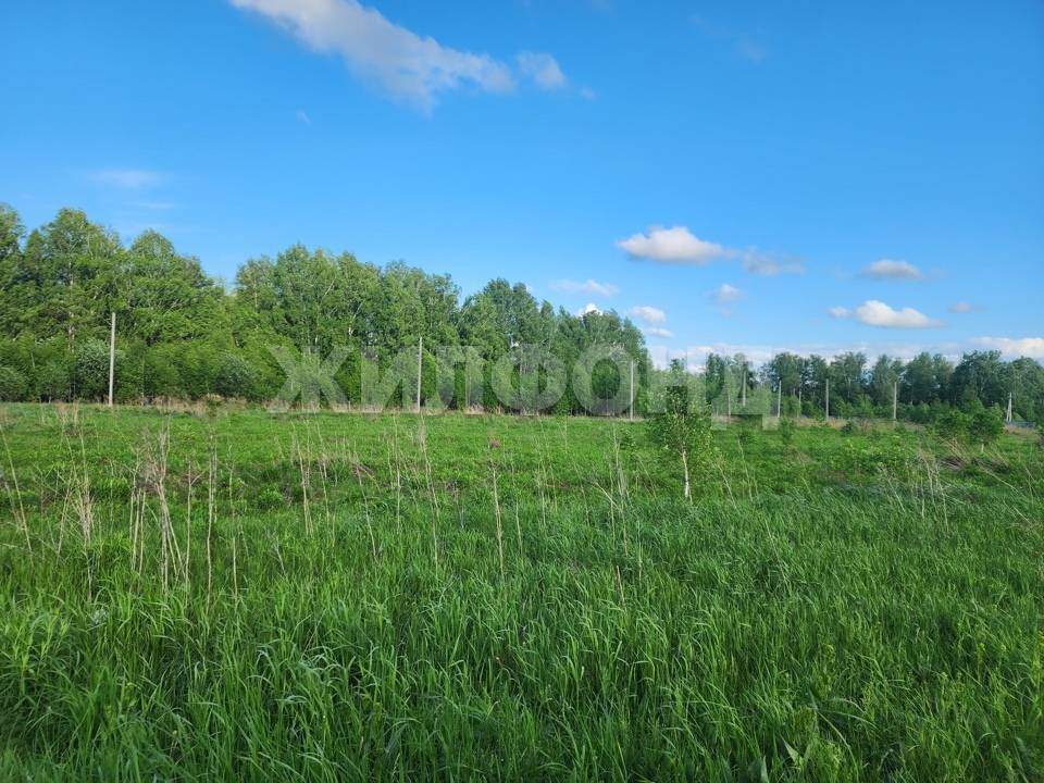 Продам земельный участок 10000 м.кв.
