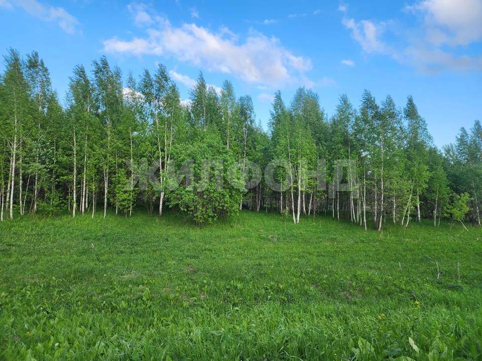 Продам земельный участок 10000 м.кв.