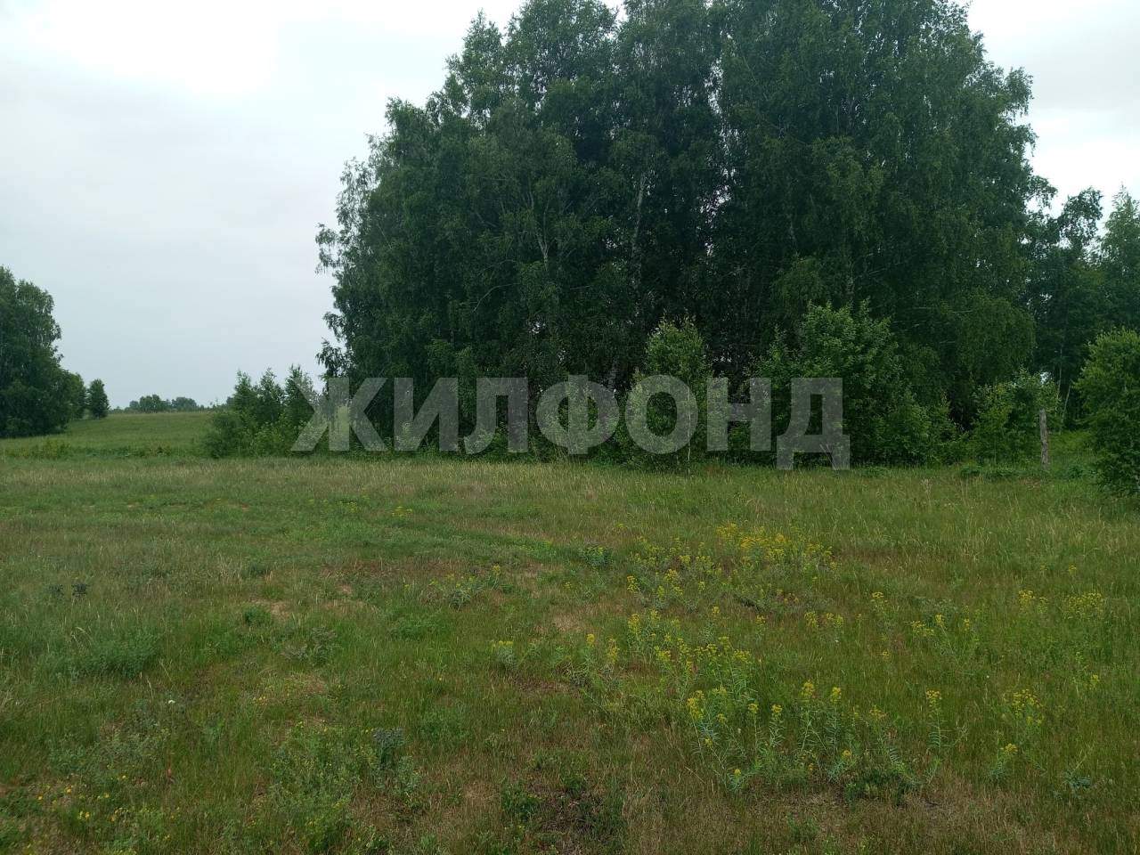 Продам земельный участок 1000 м.кв.