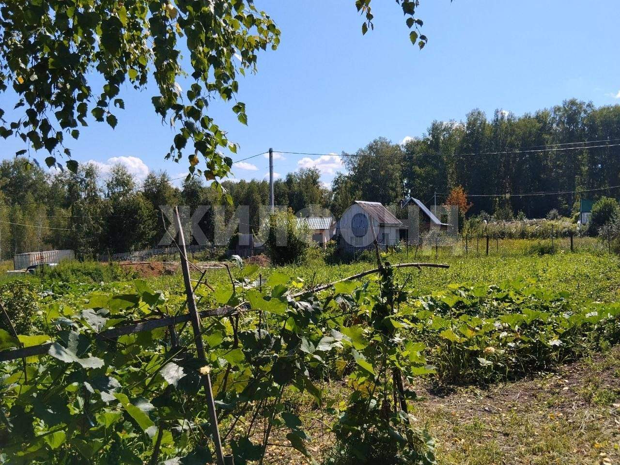 Продам земельный участок 600 м.кв.