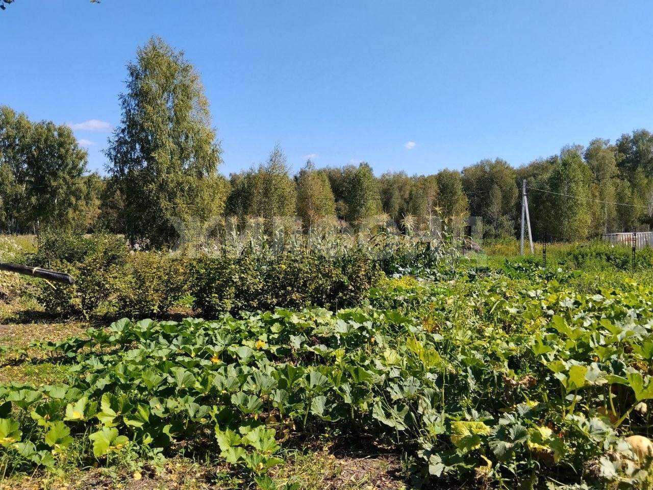 Продам земельный участок 600 м.кв.